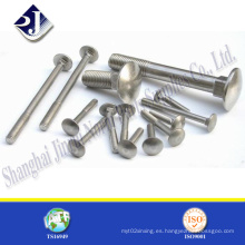 Compras en línea no estándar de acero inoxidable Carriage Bolt